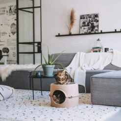 District 70 Bunker 14 District 70 Bunker -Trixie Verkäufe 2024 district 70 bunker 190954 0500 none