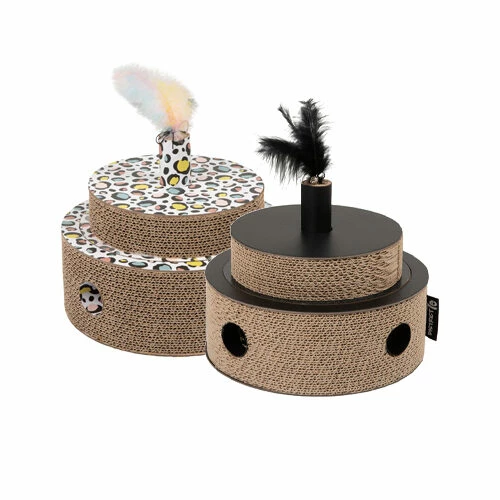 District 70 Fiesta 3 District 70 Fiesta