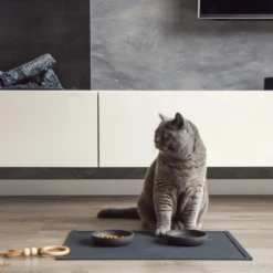 District 70 Serve Placemat 20 District 70 Serve Placemat -Trixie Verkäufe 2024 district 70 serve placemat 209750 0500 none