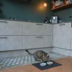 District 70 Serve Placemat 21 District 70 Serve Placemat -Trixie Verkäufe 2024 district 70 serve placemat 209753 0500 none