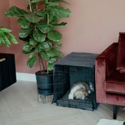 District 70 Sherpa Liegematte -Trixie Verkäufe 2024 district 70 sherpa bench mat 191723 0500 none