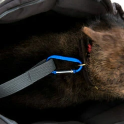 Doctor Bark Hundetragetasche -Trixie Verkäufe 2024 doctor bark honden draagtas 202157 0500 none