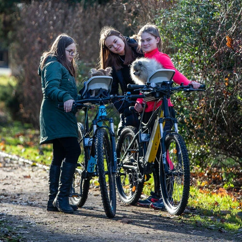 Dogrider Dog Seat 8 Dogrider Dog Seat – Bild 6