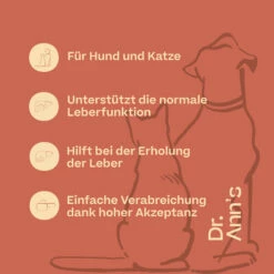 Dr. Ann's Liver Support -Trixie Verkäufe 2024 dr anns liver support 220417 0500 none