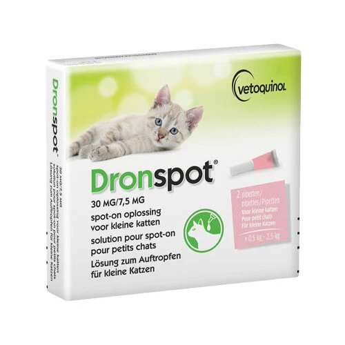 Dronspot Spot-on Cat 4 Dronspot Spot-on Cat – Bild 2