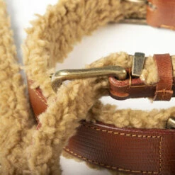 DWAM Halsband Teddy 6 DWAM Halsband Teddy -Trixie Verkäufe 2024 dwam halsband teddy 189206 0500 none