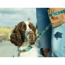 DWAM Hundeleine Boho Juan -Trixie Verkäufe 2024 dwam hondenriem boho juan 135979 0500 none