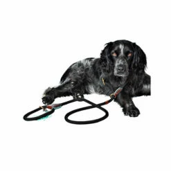 DWAM Hundeleine Long John -Trixie Verkäufe 2024 dwam hondenriem long john 166357 0500 none