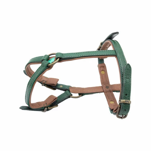 DWAM Hundegschirr Ivy 4 DWAM Hundegschirr Ivy – Bild 2