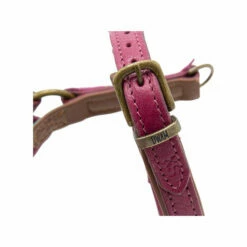 DWAM Hundegeschirr Lou Lou -Trixie Verkäufe 2024 dwam hondentuigje lou lou 182158 0500 none