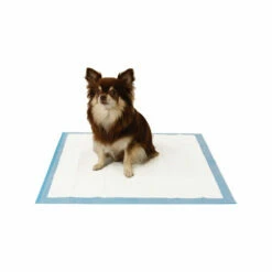 Easypets Trainingpads -Trixie Verkäufe 2024 easypets trainingspads 184186 0500 none