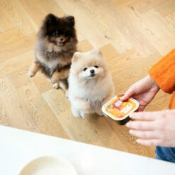 Edgard & Cooper Adult - Huhn & Truthahn - Im Schälchen -Trixie Verkäufe 2024 edgard cooper adult kip kalkoen kuipje 168597 0500 none