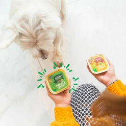 Edgard & Cooper Adult - Lamm & Rind - Im Schälchen -Trixie Verkäufe 2024 edgard cooper adult lam rund kuipje 168636 0500 none