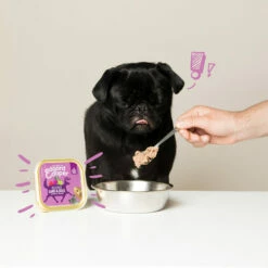 Edgard & Cooper Adult - Wild & Ente - Schälchen -Trixie Verkäufe 2024 edgard cooper adult wild eend kuipje 168648 0500 none