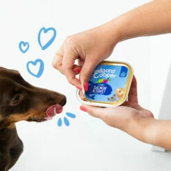 Edgard & Cooper Adult - Lachs Und Truthahn - Schale 10 Edgard & Cooper Adult - Lachs Und Truthahn - Schale -Trixie Verkäufe 2024 edgard cooper adult zalm kalkoen kuipje 208616 0500 none