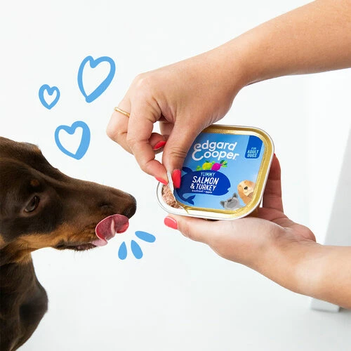 Edgard & Cooper Adult - Lachs Und Truthahn - Schale 5 Edgard & Cooper Adult - Lachs Und Truthahn - Schale – Bild 3