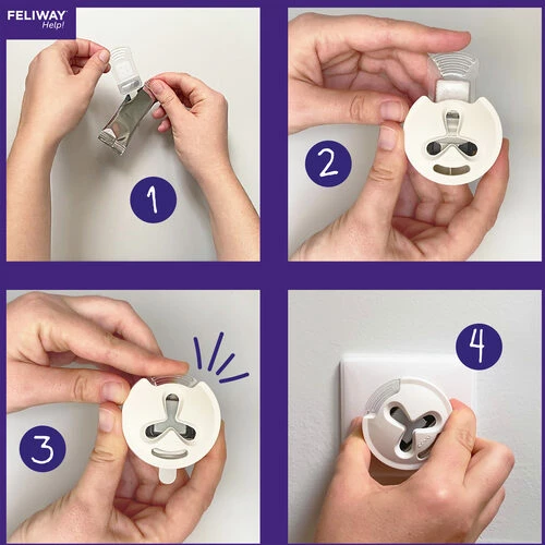 Feliway Help! 6 Feliway Help! – Bild 4