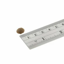 Fish4Dogs Finest Adult Complete - Sardine Kleine Brocken 5 Fish4Dogs Finest Adult Complete - Sardine Kleine Brocken -Trixie Verkäufe 2024 fish4dogs finest adult complete sardine kleine brok 160934 0500 none