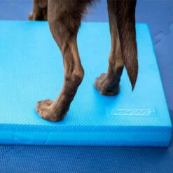FitPAWS Balance Pad 9 FitPAWS Balance Pad -Trixie Verkäufe 2024 fitpaws balance pad 176131 0500 none