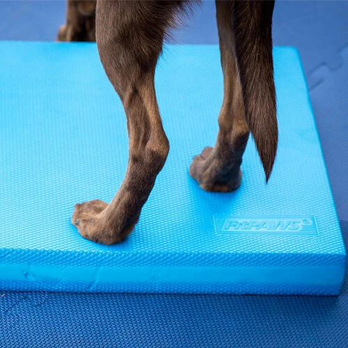FitPAWS Balance Pad 6 FitPAWS Balance Pad – Bild 4