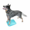 FitPAWS Balance Ramp 2 FitPAWS Balance Ramp -Trixie Verkäufe 2024 fitpaws balance ramp 176140 0500 none