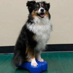 FitPAWS Bone Minis 7 FitPAWS Bone Minis -Trixie Verkäufe 2024 fitpaws bone minis 177121 0500 none