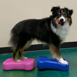 FitPAWS Bone Minis 8 FitPAWS Bone Minis -Trixie Verkäufe 2024 fitpaws bone minis 177124 0500 none