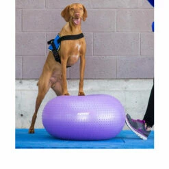 FitPAWS Trax Donut 5 FitPAWS Trax Donut -Trixie Verkäufe 2024 fitpaws trax donut 103252 0500 none