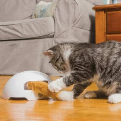 FroliCat Fox -Trixie Verkäufe 2024 frolicat fox 136594 0500 none