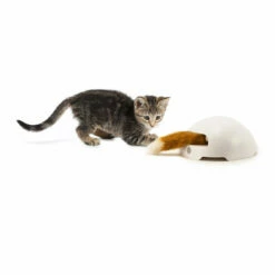 FroliCat Fox -Trixie Verkäufe 2024 frolicat fox 136600 0500 none