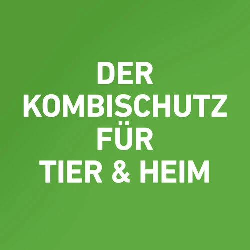 Frontline Combo Spot On Katze 7 Frontline Combo Spot On Katze – Bild 5