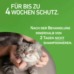 Frontline Combo Spot On Katze 10 Frontline Combo Spot On Katze -Trixie Verkäufe 2024 frontline combo spot on kat 208217 0500 none