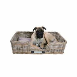 Happy House Weidenkorb Eckig -Trixie Verkäufe 2024 happy house rieten mand recht 167215 0500 none