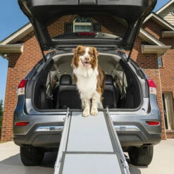 Happy Ride Telescoping Pet Ramp Deluxe 7 Happy Ride Telescoping Pet Ramp Deluxe -Trixie Verkäufe 2024 happy ride telescoping pet ramp deluxe 162499 0500 none