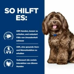 Hill's B/d Ageing & Alertness - Prescription Diet - Canine -Trixie Verkäufe 2024 hills bd ageing alertness prescription diet canine 217861 0500 none