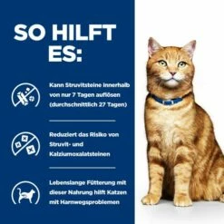Hill's C/d Multicare - Prescription Diet - Feline 11 Hill's C/d Multicare - Prescription Diet - Feline -Trixie Verkäufe 2024 hills cd multicare prescription diet feline 218232 0500 none