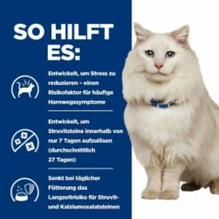 Hill's C/d Urinary Care - Urinary Stress - Prescription Diet - Feline 17 Hill's C/d Urinary Care - Urinary Stress - Prescription Diet - Feline -Trixie Verkäufe 2024 hills cd urinary care urinary stress prescription diet feline 218261 0500 none