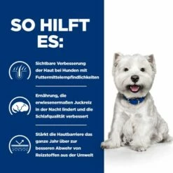 Hill's Derm Complete Mini - Prescription Diet – Canine 12 Hill's Derm Complete Mini - Prescription Diet – Canine -Trixie Verkäufe 2024 hills derm complete mini prescription diet canine 211652 0500 none