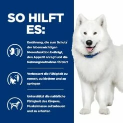 Hill's K/d + Mobility - Prescription Diet - Canine 12 Hill's K/d + Mobility - Prescription Diet - Canine -Trixie Verkäufe 2024 hills kd mobility prescription diet canine 212189 0500 none