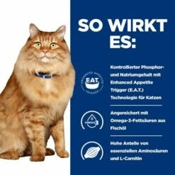 Hill's K/d + Mobility - Prescription Diet - Feline 13 Hill's K/d + Mobility - Prescription Diet - Feline -Trixie Verkäufe 2024 hills kd mobility prescription diet feline 212462 0500 none