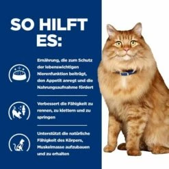 Hill's K/d + Mobility - Prescription Diet - Feline 14 Hill's K/d + Mobility - Prescription Diet - Feline -Trixie Verkäufe 2024 hills kd mobility prescription diet feline 212465 0500 none