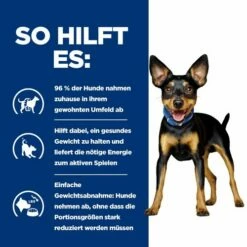 Hill's Metabolic Mini - Prescription Diet - Canine 14 Hill's Metabolic Mini - Prescription Diet - Canine -Trixie Verkäufe 2024 hills metabolic mini prescription diet canine 218076 0500 none