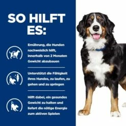 Hill's Metabolic + Mobility - Prescription Diet - Canine 12 Hill's Metabolic + Mobility - Prescription Diet - Canine -Trixie Verkäufe 2024 hills metabolic mobility prescription diet canine 212783 0500 none