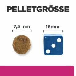 Hill's Prescription Diet Gastrointestinal Biome - Canine - Mini -Trixie Verkäufe 2024 hills prescription diet gastrointestinal biome canine mini 211880 0500 none