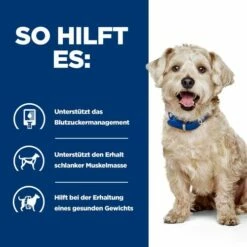 Hill's Prescription Diet W/d Diabetes Care - Canine -Trixie Verkäufe 2024 hills prescription diet wd diabetes care canine 218175 0500 none