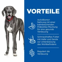 Hill's Science Plan Adult Perfect Digestion Large Breed -Trixie Verkäufe 2024 hills science plan adult perfect digestion large breed hondenvoer 181267 0500 none