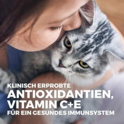 Hill's Science Plan Kitten Perfect Digestion Katzenfutter -Trixie Verkäufe 2024 hills science plan kitten perfect digestion kattenvoer 213077 0500 none