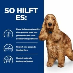 Hill's Z/d Food Sensitivities - Prescription Diet - Canine 18 Hill's Z/d Food Sensitivities - Prescription Diet - Canine -Trixie Verkäufe 2024 hills zd food sensitivities prescription diet canine 214331 0500 none