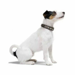 Hunter Halsband Arizona -Trixie Verkäufe 2024 hunter halsband arizona 116187 0500 none