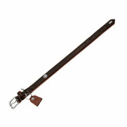 Hunter Halsband Cody 6 Hunter Halsband Cody -Trixie Verkäufe 2024 hunter halsband cody 116502 0500 none